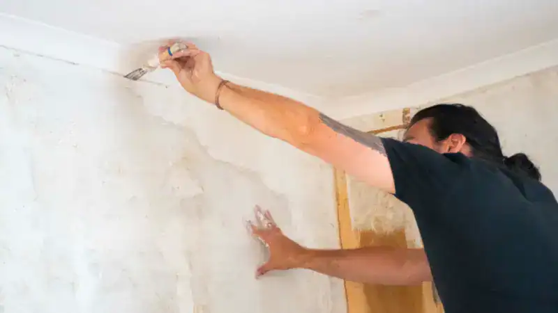 Interior wall painting in Anchorage